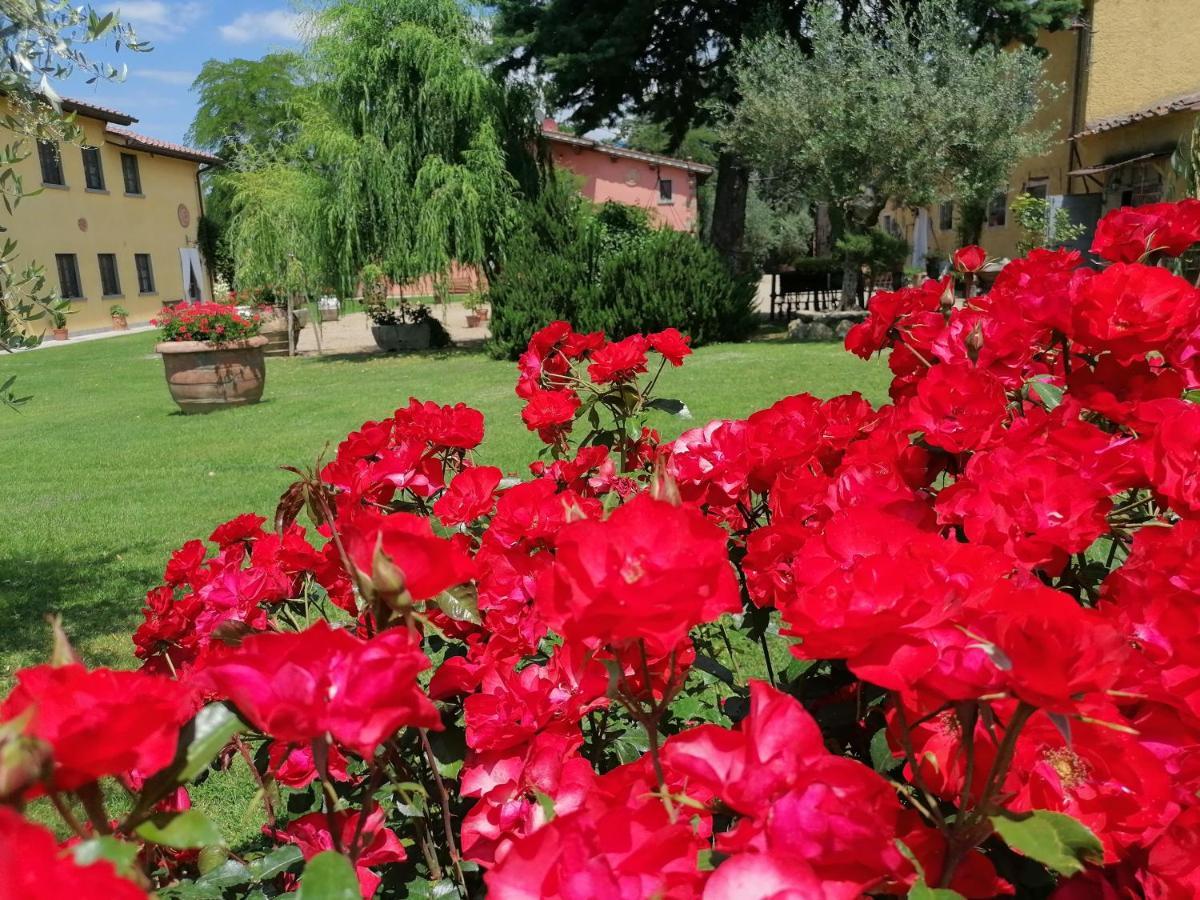 Podere Piandarca Terranuova Bracciolini Exterior foto