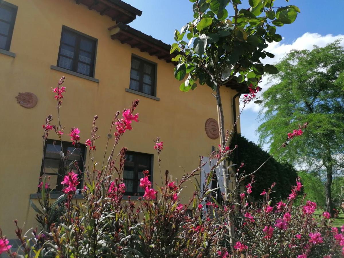 Podere Piandarca Terranuova Bracciolini Exterior foto